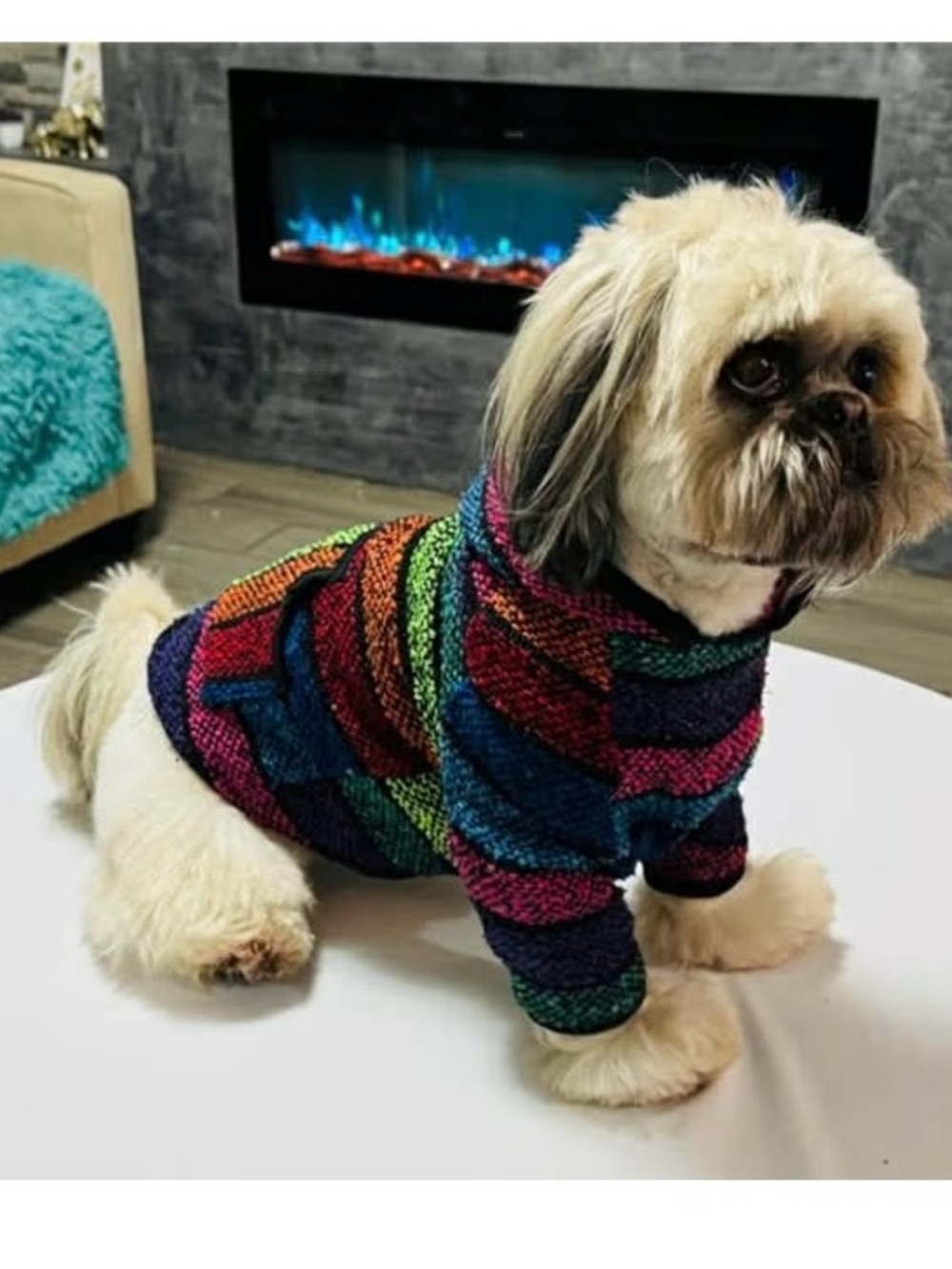 Colorful striped Mexican Jerga Dog sweater  size L